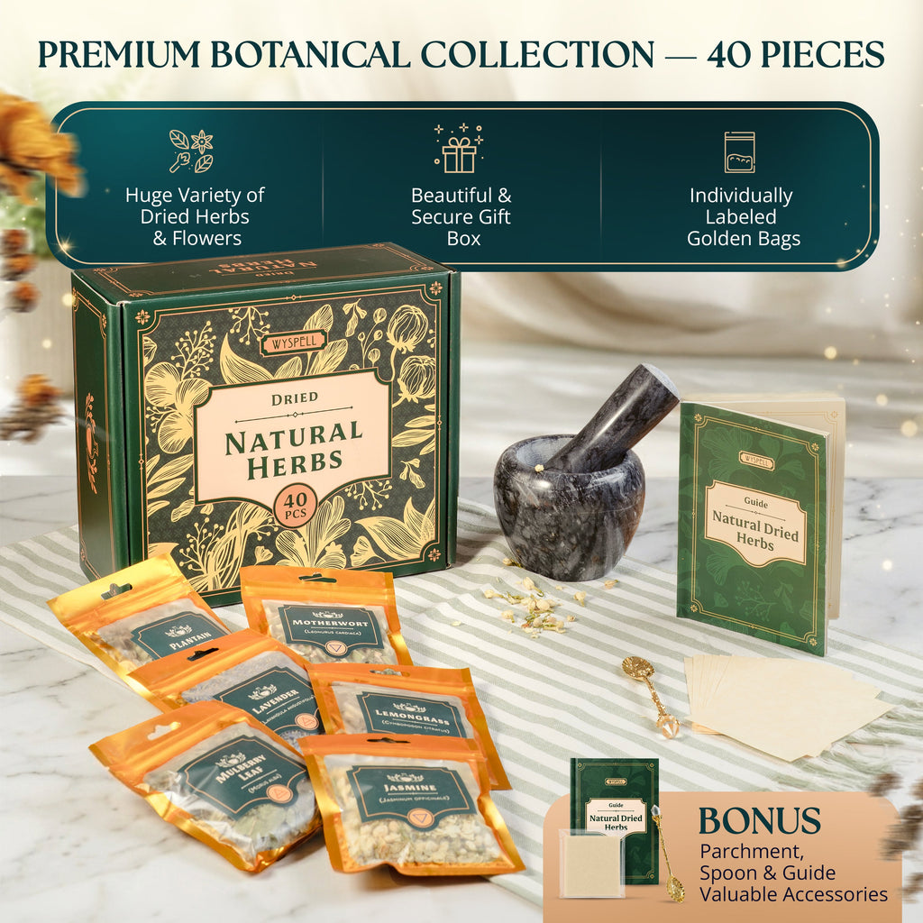40 PCS Dried Herbs set