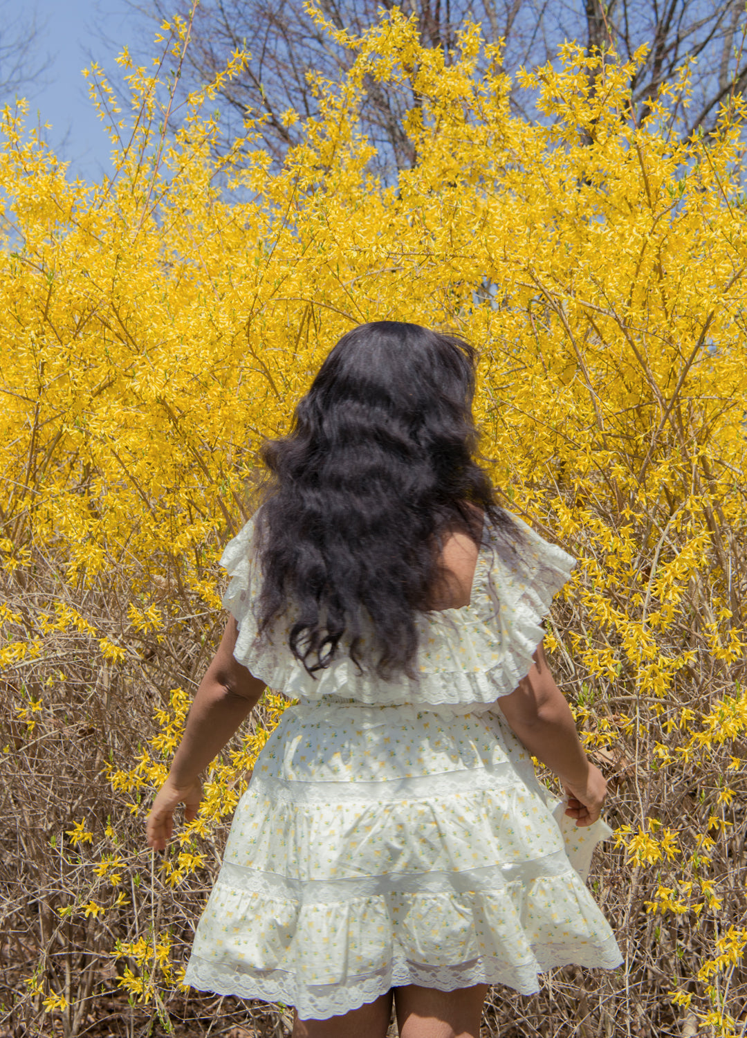 Yellow Rose Garden Party Dress