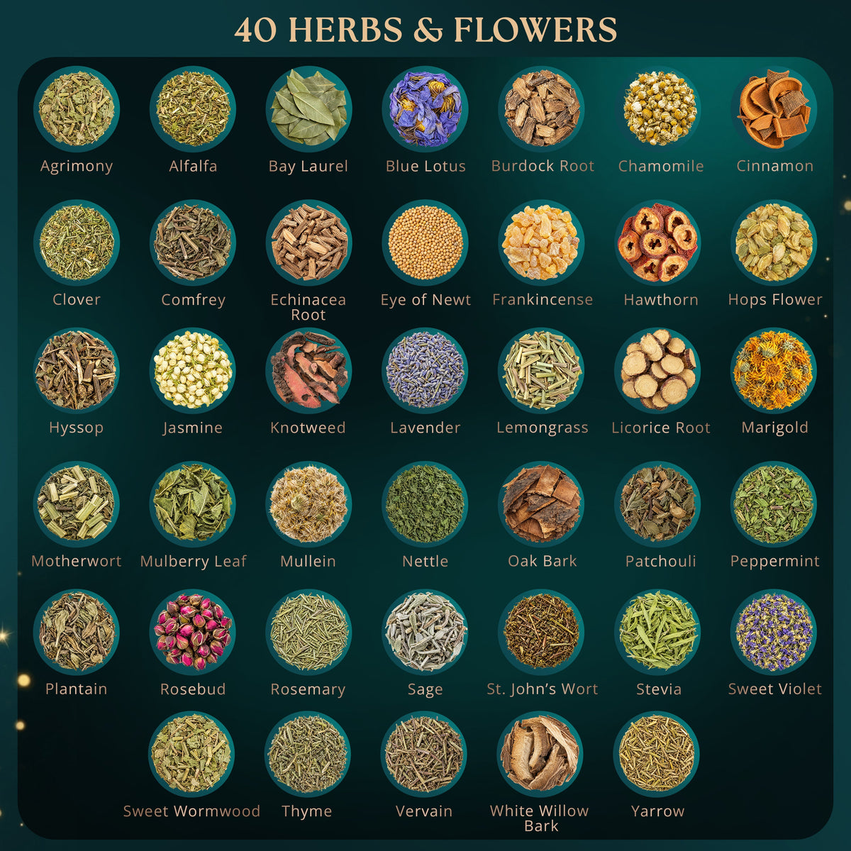 40 PCS Dried Herbs set