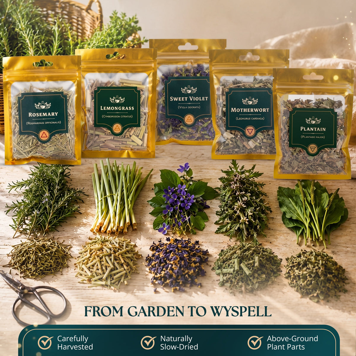 40 PCS Dried Herbs set