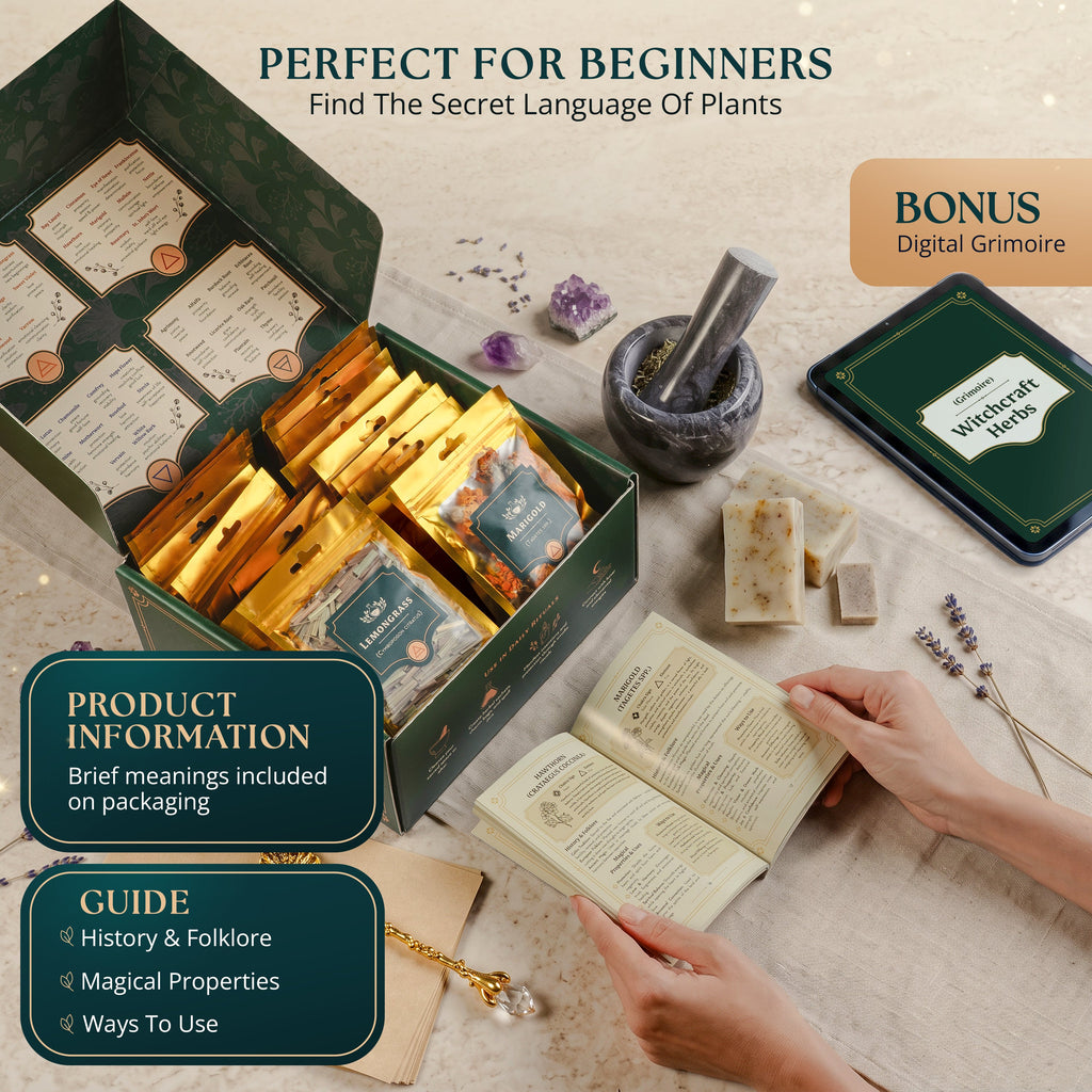 40 PCS Dried Herbs set