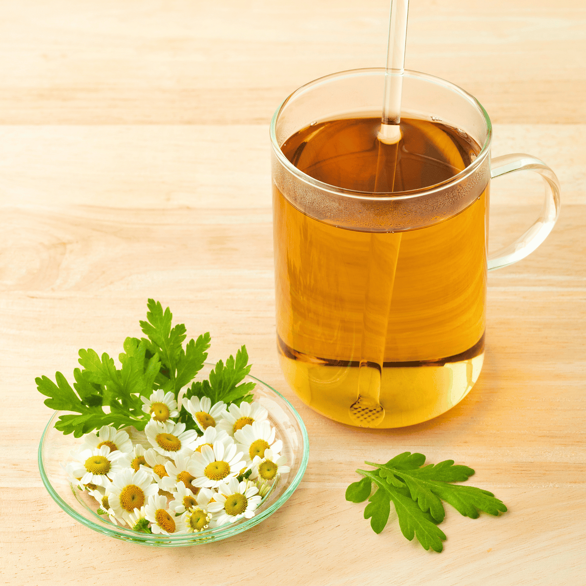 Feverfew – 100 Seeds