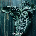 Black Magic Kale – 250 Seeds